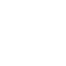 Presupuestos de obra